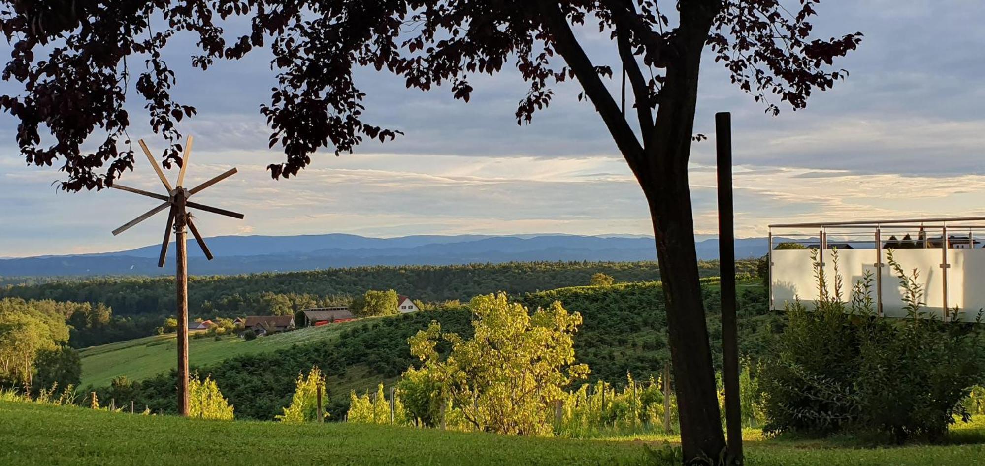 Weinhof Reichmann Bed & Breakfast Sankt Peter am Ottersbach ภายนอก รูปภาพ