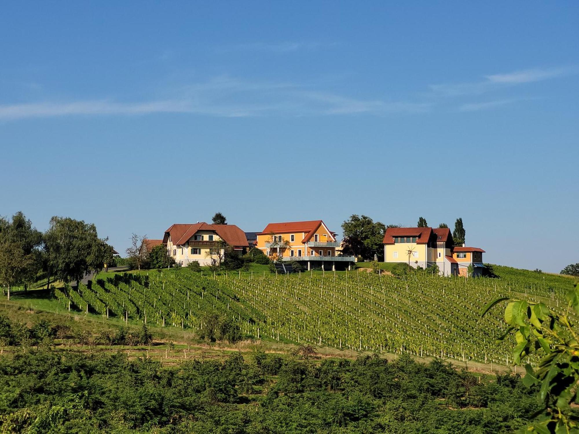 Weinhof Reichmann Bed & Breakfast Sankt Peter am Ottersbach ภายนอก รูปภาพ