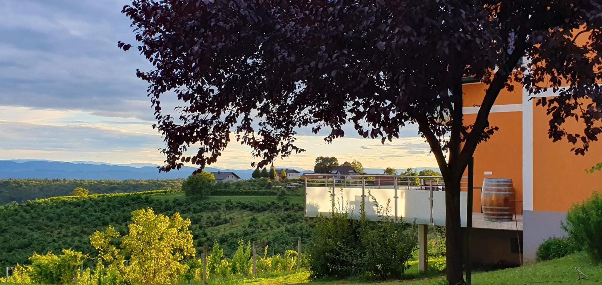 Weinhof Reichmann Bed & Breakfast Sankt Peter am Ottersbach ภายนอก รูปภาพ
