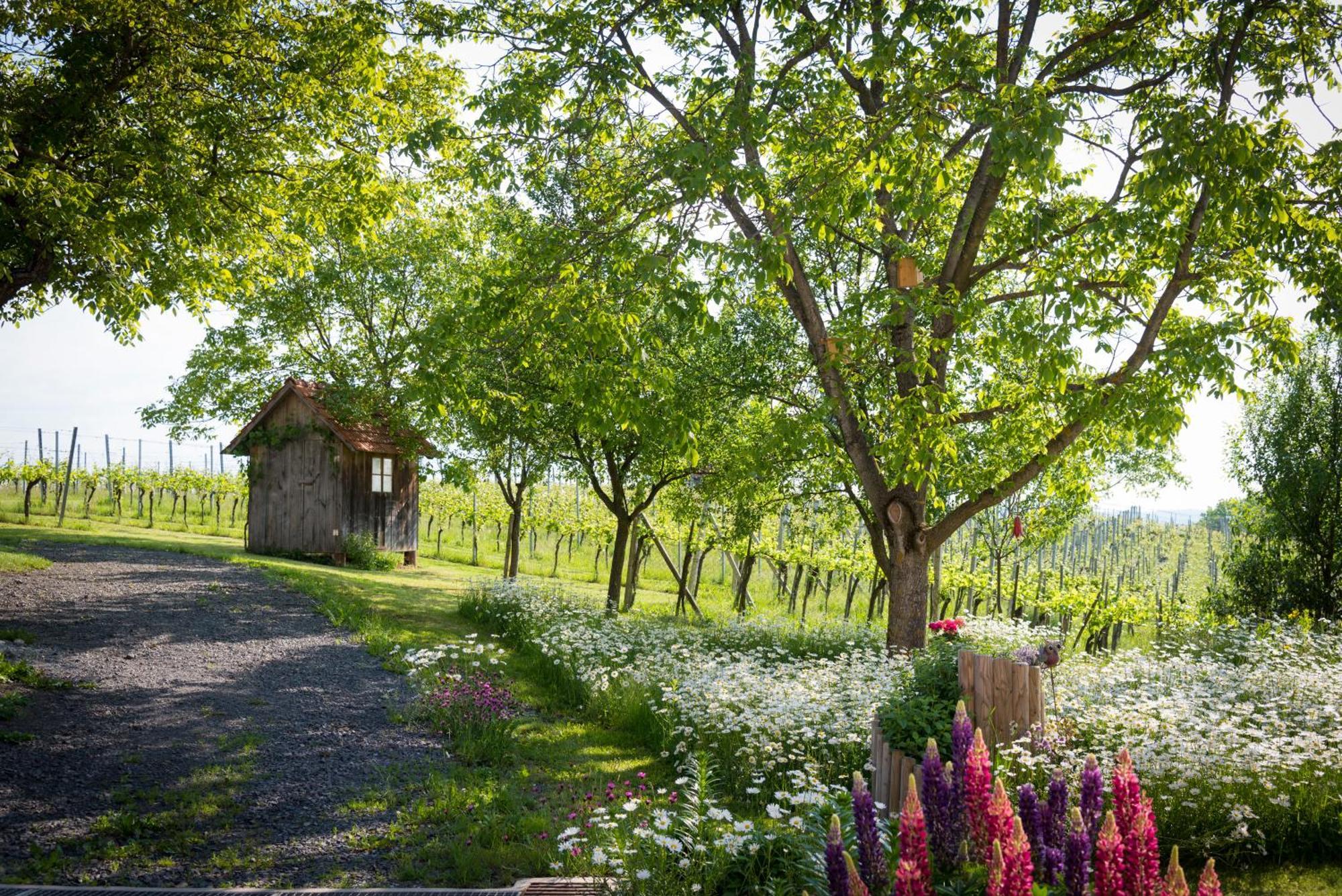 Weinhof Reichmann Bed & Breakfast Sankt Peter am Ottersbach ภายนอก รูปภาพ